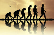 THE SPECTRUM of HUMAN EVOLUTION