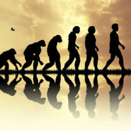 THE SPECTRUM of HUMAN EVOLUTION